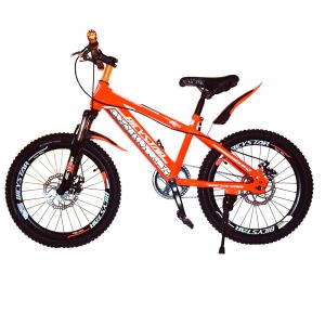 Bicicleta niño aro 20″