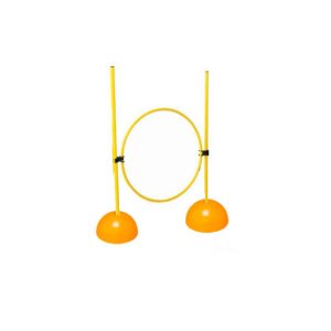 Set agilidad (ioi) motriz aro