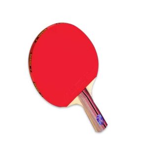 Paleta de Ping Pong clásicas 3 estrellas